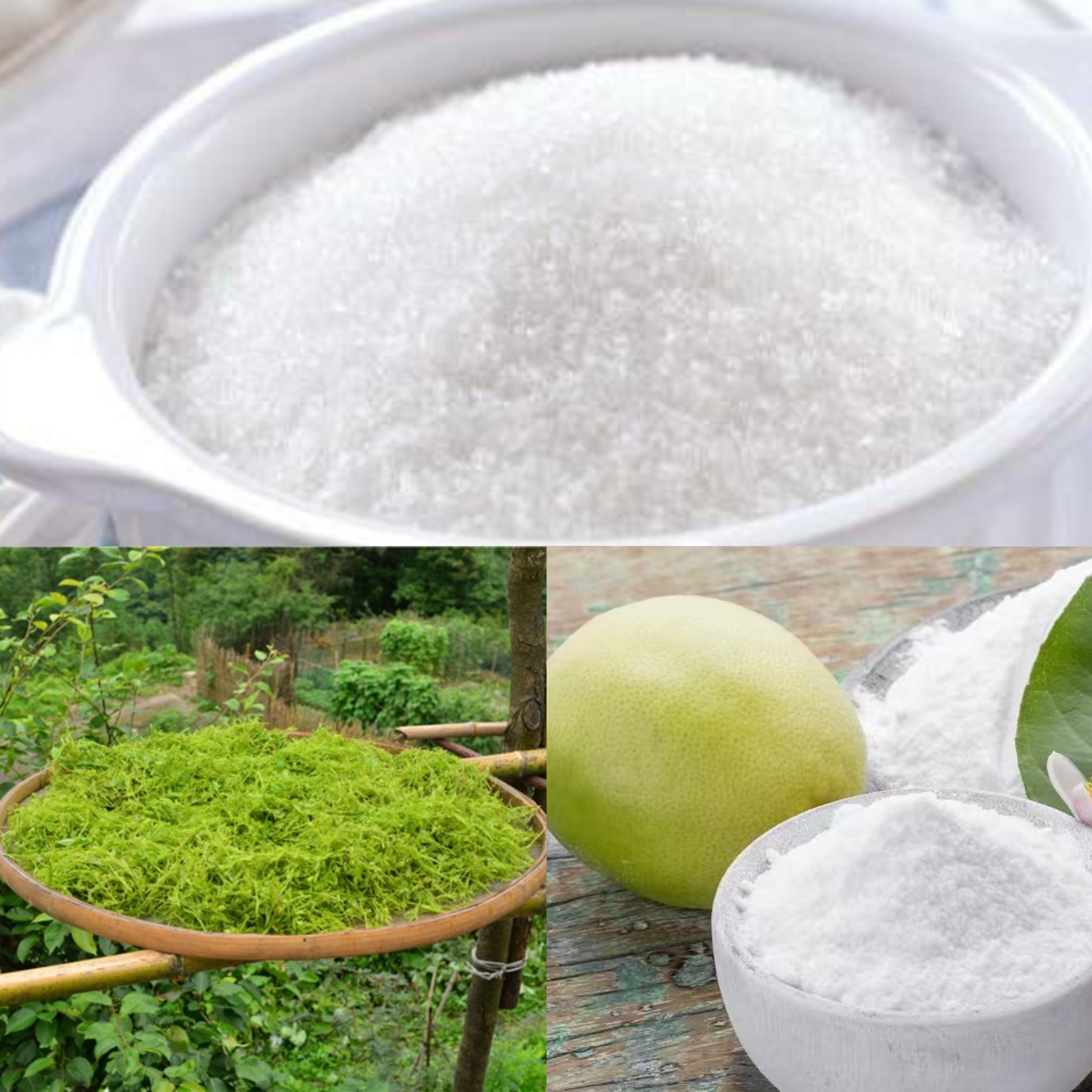 その他のシリーズ製品